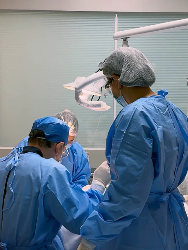 Equipe cirúrgica paramentada durante um procedimento odontológico